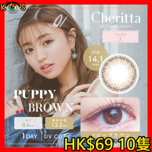 Cheritta 1day Puppy Brown チェリッタワンデー パピーブラウン